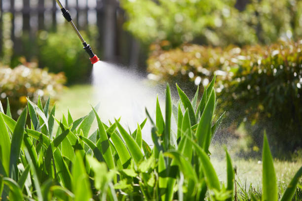 24/7 Emergency Termite Control experts in Van Wert, OH