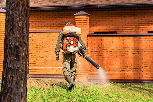 Top rated local Termite Control specialists in Van Wert, OH
